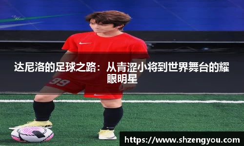 达尼洛的足球之路：从青涩小将到世界舞台的耀眼明星